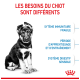 Image d'un chiot avec texte : "Les besoins du chiot sont différents," mettant en avant son système immunitaire fragile et sa digestion sensible.
