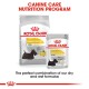 Royal Canin Dermacomfort dog food: a "MINI" dry food bag and wet food pouch, promoting a mix of dry and wet formulas.