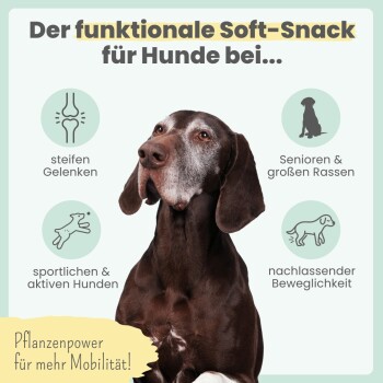Brauner älterer Hund mit grauem Fang; deutscher Text 'Der funktionale Soft-Snack für Hunde bei...' und Mobilitäts-Icons.