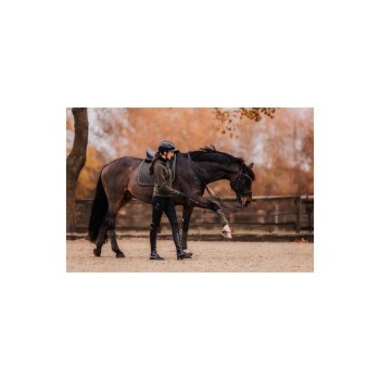 Ein Reiter in einer dunkelgrünen Jacke und Reitstiefeln geht neben einem braunen Pferd in einer herbstlichen Umgebung, mit Bäumen im Hintergrund.