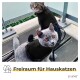 Zwei Katzen in schwarzen Geschirren sitzen auf einem Balkon, umgeben von Grün. Der Text lautet "Freiraum für Hauskatzen" und enthält das Logo "plupet."