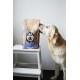 DOG’S LOVE Adult Au Saumon et à la truite 2 kg