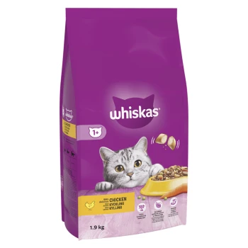 Whiskas cat food bag featuring a playful gray cat, labeled "with delicious chicken," 1.9 kg size, purple background.