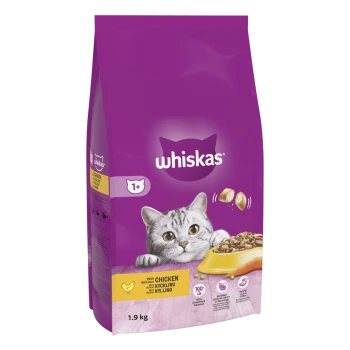 Whiskas cat food bag featuring a playful gray cat, labeled "with delicious chicken," 1.9 kg size, purple background.