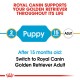 Royal Canin guide for feeding Golden Retrievers, highlighting puppy and adult stages with age recommendations.