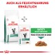 Royal Canin Veterinärernährungs-Verpackung für Katzenfutter, mit 'Sättigung Gewichtsmanagement' mit einem Beutel und Trockenfutter, und Text in Deutsch.