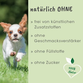 Ein verspielter Hund läuft im grünen Gras neben dem Text: "natürlich OHNE" mit Vorteilen: keine Zusatzstoffe, Verstärker, Füllstoffe oder Zucker, gekennzeichnet mit "100% Natur."