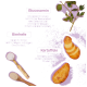 Kartoffeln, geschnittene Kartoffelscheiben, Pulver und Kraut auf violettem Hintergrund mit Beschriftungen "Glucosamin", "Bierhefe", "Kartoffeln".