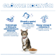 GŁÓWNE KORZYŚCI — pręgowany kot z czerwoną obrożą obok miski z karmą; widoczne polskie nagłówki korzyści.