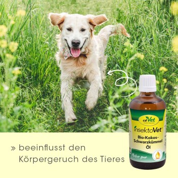 insektoVet Bio Kokos Schwarzkümmel Öl