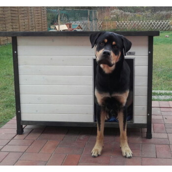 Schwarz-brauner Hund steht in der Tür eines weißen Holz-Hundehäuschens auf einer Ziegelterrasse; kleines SAUERLAND-Label am Häuschen.