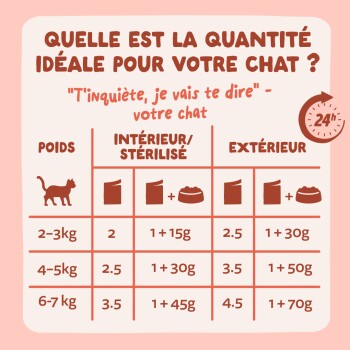 Infographie « Quelle est la quantité idéale pour votre chat ? » montre les portions (2–7 kg) pour chats d'intérieur vs d'extérieur, sec et humide.