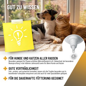 Eine Nahaufnahme einer Katze, die unter einer Decke hervorschaut, neben einer Flasche REAVET IMMUN AUFBAU Tropfen, 110ml.