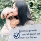Person küsst kleinen lockigen braunen Hund; Overlay: 'Zuverlässige Hilfe speziell gegen alle Arten von Flöhen' mit Häkchen.