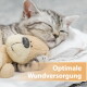 Schlafendes grau-getigertes Kätzchen kuschelt mit einem Teddybären auf weißem Tuch; oranges Banner lautet 'Optimale Wundversorgung'.
