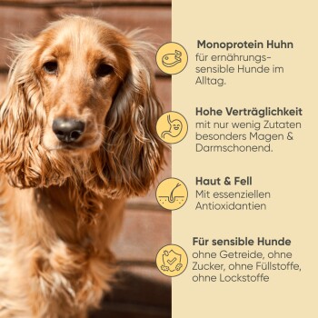 Dosenfutter für Hunde "Milo & Mia" mit Huhn, Reis und Gemüse, illustriert mit einem Hund und Zutaten wie Reis und Karotten.