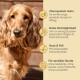 Dosenfutter für Hunde "Milo & Mia" mit Huhn, Reis und Gemüse, illustriert mit einem Hund und Zutaten wie Reis und Karotten.