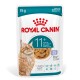 Royal Canin 85g nat kattenvoer zakje voor senior katten 11+ met stukjes in gelei, gezond age7 complex, gemakkelijk te eten textuur.