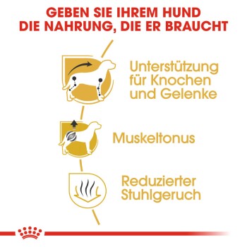 Bild, das die Hundeernährung fördert: "Geben Sie Ihrem Hund die Nahrung, die er braucht." Hebt Gelenkunterstützung, Muskeltonus und weniger Stuhlgeruch hervor.