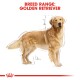 Illustration of a Golden Retriever with measurements and breed range text above, featuring a red crown logo at the bottom.