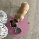 Ein beige-farbener Hund mit einem schwarzen Halsband frisst aus einer weißen Schüssel mit Trockenfutter, die auf einer rosa runden Matte neben einer grauen Wasserschüssel platziert ist.