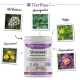 Behälter mit "Nervenwohl" Entspannungspulver für Pferde, mit Bildern der Zutaten: Baldrian, Ashwagandha, Hopfen, Johanniskraut und Passionsblume.