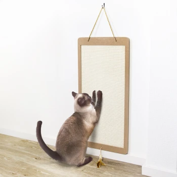 Eine Siamkatze, die auf einem wandmontierten Kratzbrett kratzt, mit einer kleinen Spielzeugbanane auf dem Boden in der Nähe.