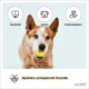 Hundeball-Set