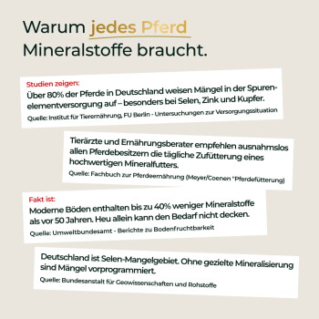 ‚Warum jedes Pferd Mineralstoffe braucht.‘ Infografik auf Deutsch: 'Studien zeigen: Über 80% der Pferde' haben Mangel an Selen, Zink und Kupfer; Böden −40%.