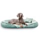 Ein grauer Weimaraner-Hund liegt auf einem weichen, mintgrünen Haustierbett mit passendem Kissen, vor einem weißen Hintergrund.