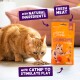 Orange tabby cat sniffing kibble beside an Edgard Cooper Crunchies bag labeled 'natural', 'fresh meat', 'catnip'.