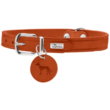 Oranger Leder-Hundehalsband mit einer silbernen Schnalle und einem runden Anhänger mit einer Silhouette eines Hundes, markiert "HUNTER."