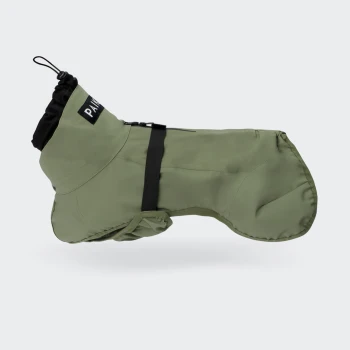 Grüner Hunderegenmantel mit schwarzem verstellbarem Riemen und "Paw"-Etikett am Kragen vor weißem Hintergrund.