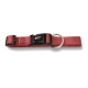 Rotes verstellbares Hundehalsband mit schwarzer Kunststoffschnalle mit der Aufschrift „WOLTERS“ und einem Metall-D-Ring.