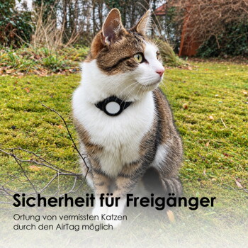 Eine flauschige, hellfarbige Katze mit blauen Augen sitzt elegant vor einem verschwommenen Hintergrund. Text: "Schlichtes Design, Leicht, sicher & ohne Chichi."