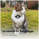 Eine flauschige, hellfarbige Katze mit blauen Augen sitzt elegant vor einem verschwommenen Hintergrund. Text: "Schlichtes Design, Leicht, sicher & ohne Chichi."