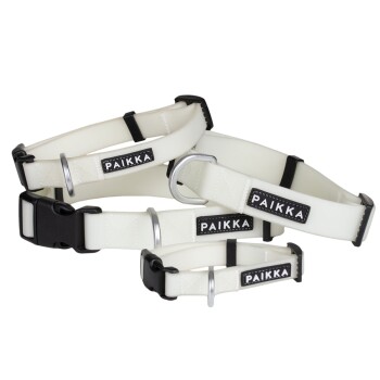 Glow Collar 26 cm, 2,5 cm