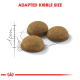 Three pieces of dry pet kibble on a sketched measurement grid, with the text "ADAPTED KIBBLE SIZE" in bold red above.