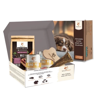 Wildfang Hundefutter-Geschenkbox mit Dosenfutter, Trockenfutter, Kauknochen und Verpackung mit braun-weißem Hund.