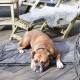 Hundematte Travel Superior M