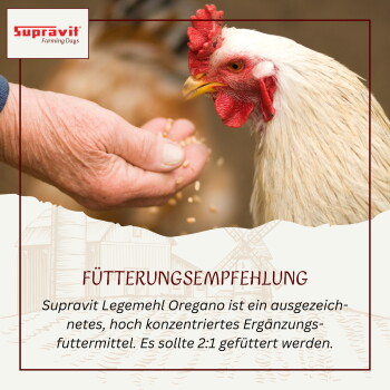 Korb mit braunen Eiern, gehalten von einer Person mit Huhn im Hintergrund, Text „Steigert Legeleistung“ und Hühnersymbol.