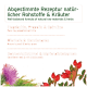 Natürliche Formel mit Hagebutte, Propolis, Spirulina, Bierhefe, Gerstengras, Sonnenhutwurzel und Mariendistelsamen.