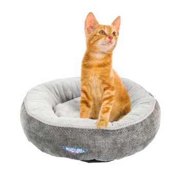 Ein neugieriges orangefarbenes Tabby-Kätzchen sitzt in einem gemütlichen grauen Haustierbett, beschriftet mit "WALLACE & JONES."