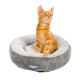 Ein neugieriges orangefarbenes Tabby-Kätzchen sitzt in einem gemütlichen grauen Haustierbett, beschriftet mit "WALLACE & JONES."