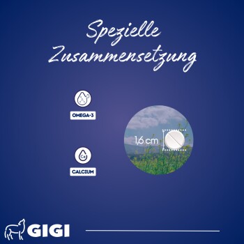 Blauer Hintergrund mit dem Text "Spezielle Zusammensetzung", Omega-3 und Calcium-Symbole, ein Bild einer 1,6 cm Pille und GIGI-Logo.