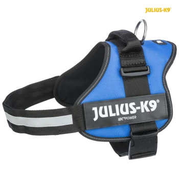 Blue Julius-K9 dog harness with reflective straps and a sturdy buckle, featuring the brand name prominently displayed.