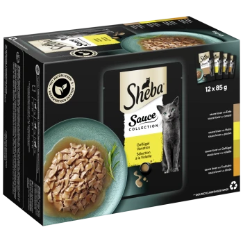 Sheba-Saucen-Kollektion Katzenfutterpackung mit 12 x 85 g Portionen, mit einer Schüssel Hähnchen in Sauce und einer grauen Katze auf der Verpackung.
