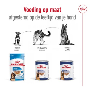 Afbeelding van Royal Canin hondenvoeding producten, met drie leeftijdscategorieën: "2 tot 15 maanden," "15 maanden tot 5 jaar," en "ouder dan 5 jaar."