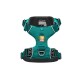 Teal-Hundegeschirr von Ruffwear, mit verstellbaren Riemen, gepolstertem Innenraum und einem Logo-Patch. Größe: S.