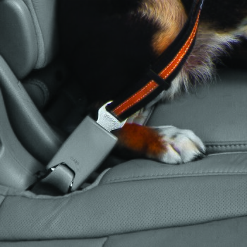 Kurgo Gurtschloss-Hundegurt fürs Auto